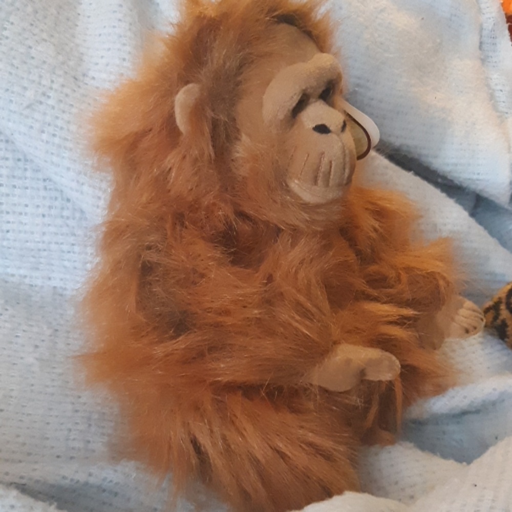 Orangutan Ape Monkey stuffed Animal toy Gift tag so cool expressive face - Picture 6 of 7